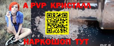 стаф Малгобек