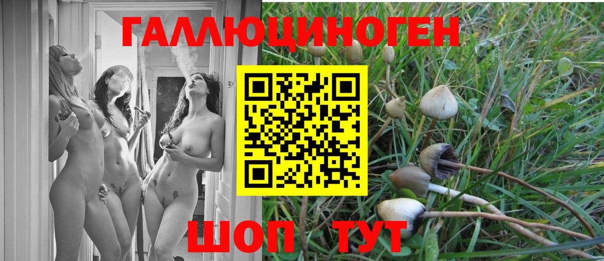 Галлюциногенные грибы прущие грибы Урай